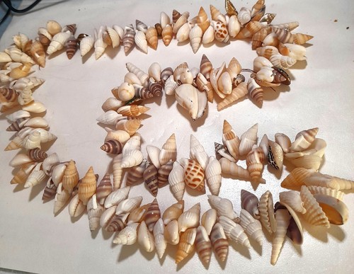 Collier coquillages de - coquillages,