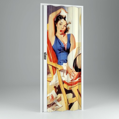 Porte accordèon intérieur - porte,