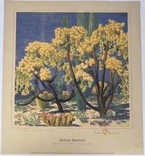 Gustave Baumann Print Cholla and Sahuaro 1995 19in