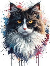 Photo A4 Black White Maine