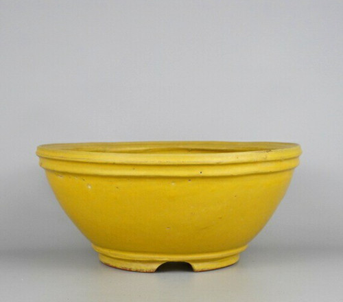 Pot bonsaï japonais - bonsaï,