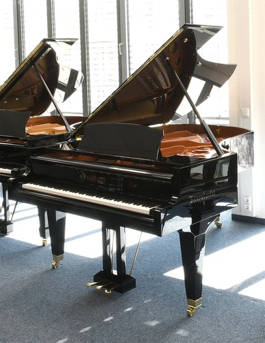 Bösendorfer piano queue - bösendorfer, à