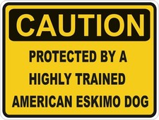 Américain Eskimo Chien