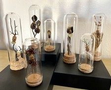 Globes sculpture tête