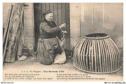 Bbyp11 0947 perigord - bbyp11-0947-24,