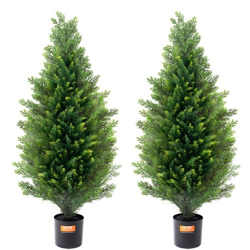 Uimoso lot plantes - 2,
