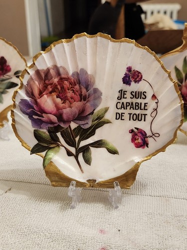 Coquille saint jacques - saint,
