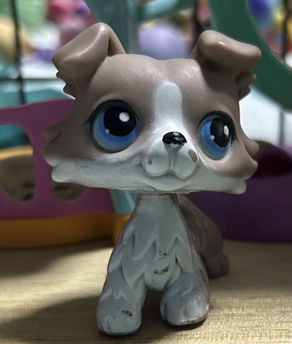 Petshop authentique chien - #67,