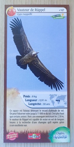 Carte merveilles monde - merveilles, du
