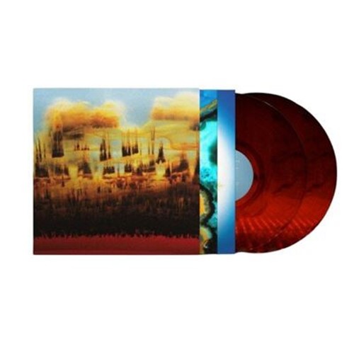 Bonobo distance static - bonobo,