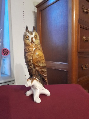 Grand hibou - grand, en
