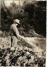 OLD PHOTO - VINTAGE SNAPSHOT - GARDEN GARDENER GARDENING WATERING - GARDEN