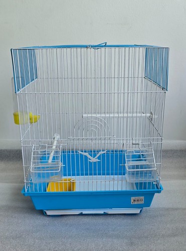 Cage oiseaux bleue et - oiseaux,