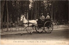 Old postcard Paris Mondain Nos elegantes au Bois un Tonneau TRANSPORT (1245274)