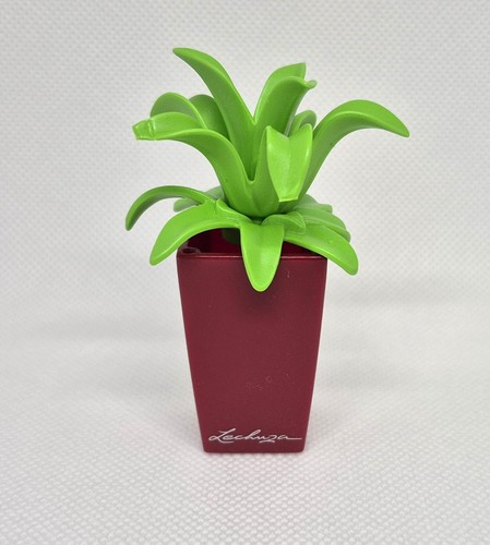 Plante verte sur - plante, marron