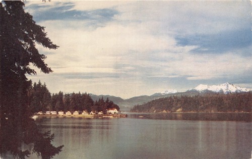 Bremerton washington capuche - bremerton,