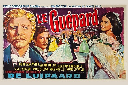 Guépard film rfvcb - film,