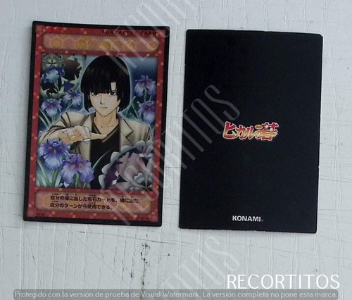 Carte collectionner hikaru - carte, à