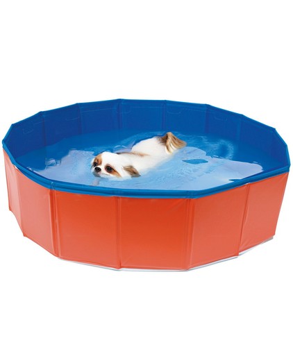 Piscine jeu pour - piscine, chiens