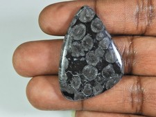 AA++ 52Cts. Cabochon fantaisie corail fossile noir naturel pierre précieuse e...