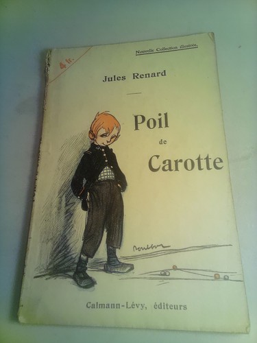 Renard jules poil - renard,