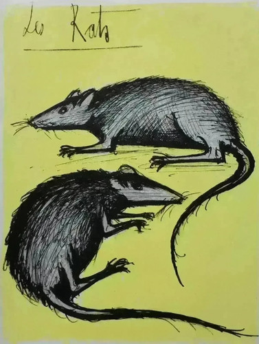 Bernard buffet les rats - :,