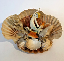 COMPOSITION SIRENE COQUILLAGES