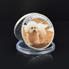 French Bichon Pet Dog Silver Plated Commemorative Coin - Locket - Collection