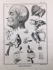 Anatomie 1779 Neurologie
