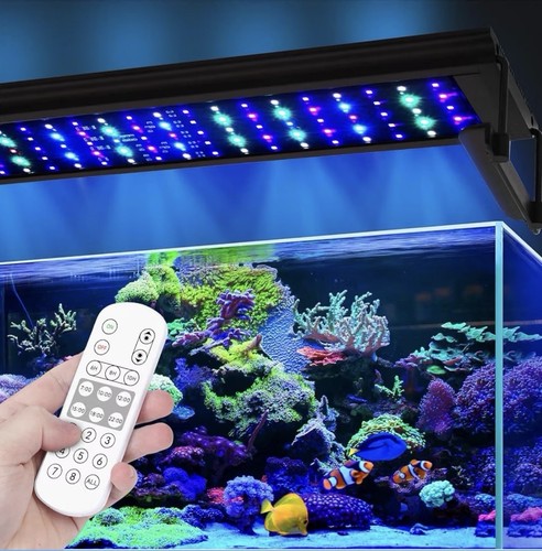 24w saltwater aquarium - 24w,