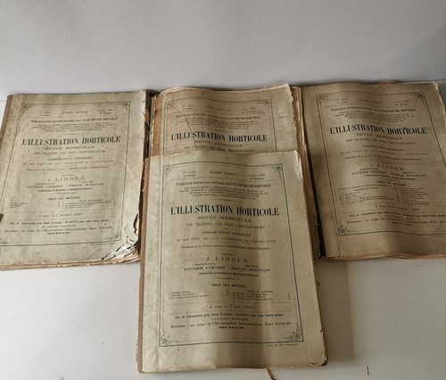Lot revues anciennes - lot,