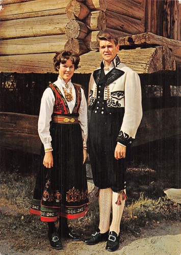 Norvege aust telemark national - norvege,