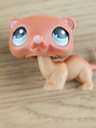 Littlest petshop ancien - littlest,