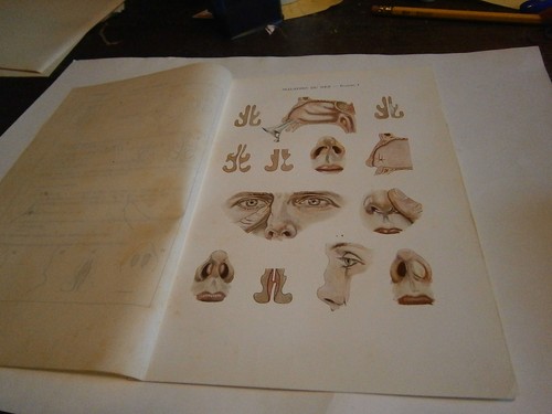 Planche gravure science corps - planche/gravure,