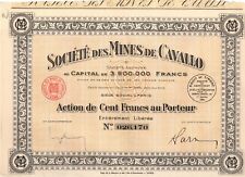 Action Société des Mines de
