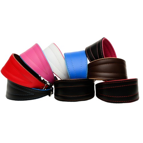 Collier cuir pour - collier, chien