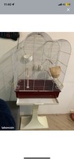 cage pour oiseaux 
