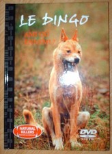 Le Dingo - Ami Ou Ennemi ? -