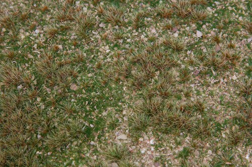 Top faller prairie - faller,, de