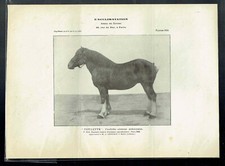 Planche 1056 - Journal des