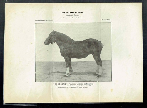 Planche 1056 journal des - planche,
