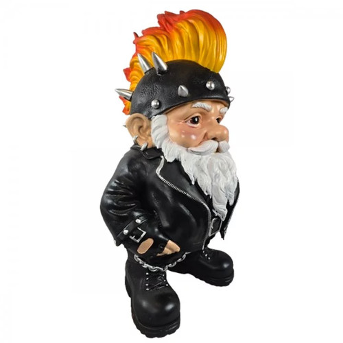 Nain jardin punk rock - jardin,