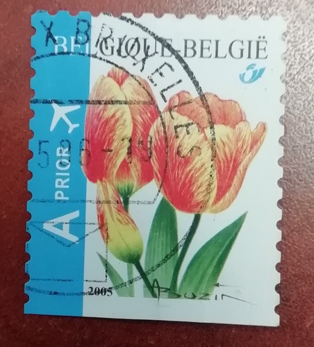 Timbre belgique belgie tulipe - timbre,