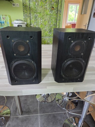 Tres rare paire enceinte - tres, d'enceinte