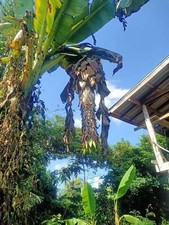 Promotion * 35 + 15 gratuites*