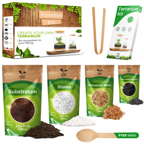 Diy terrarium kit create - –, a