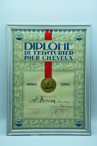 Diplôme teinturier pour - de,