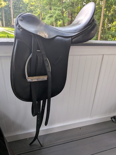 County black dressage - 19, in