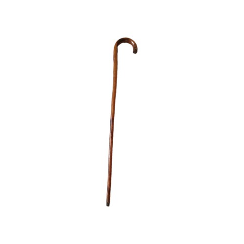 Ancienne canne marche - ancienne,