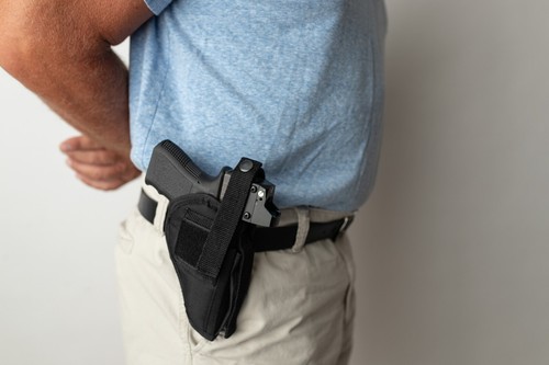 Gun holster fits taurus - fits,